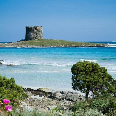 Vacanze Sardegna Apartment Santa Teresa Gallura Exterior photo