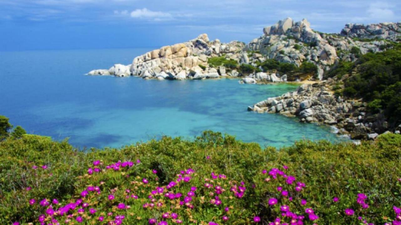 Vacanze Sardegna Apartment Santa Teresa Gallura Exterior photo