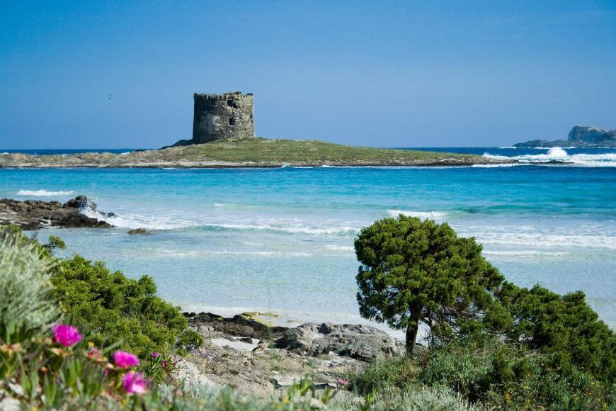 Vacanze Sardegna Apartment Santa Teresa Gallura Exterior photo